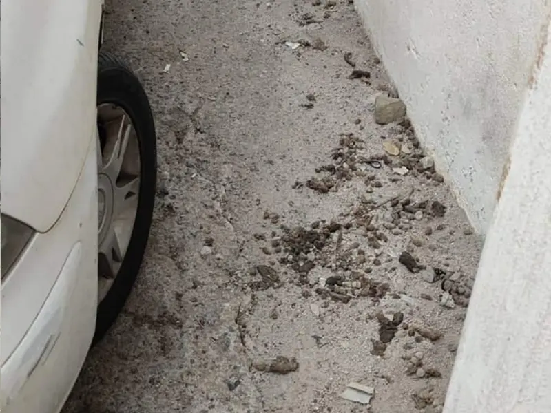 Suciedad en las calles de Juan de Juanes / Cedida