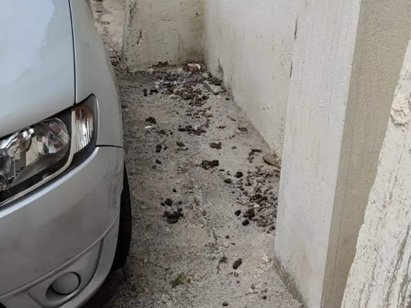 Suciedad en las calles de Juan de Juanes / Cedida