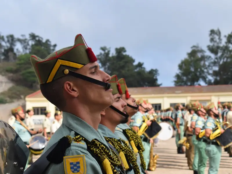 la legi&oacute;n 31