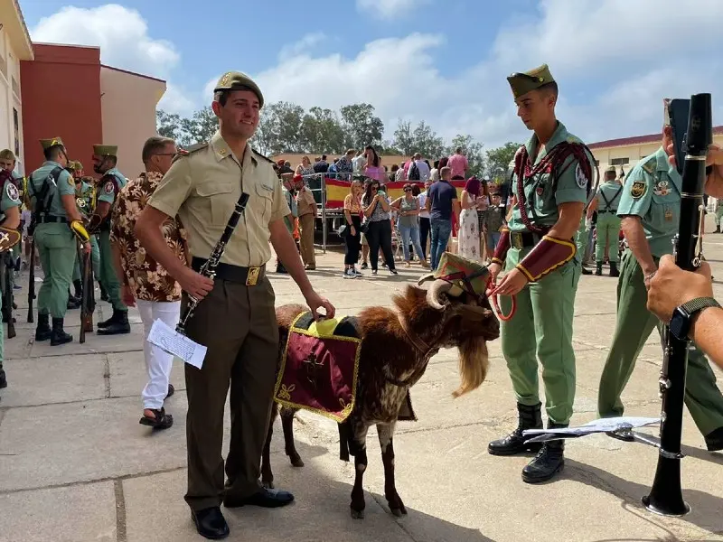 la legi&oacute;n 51