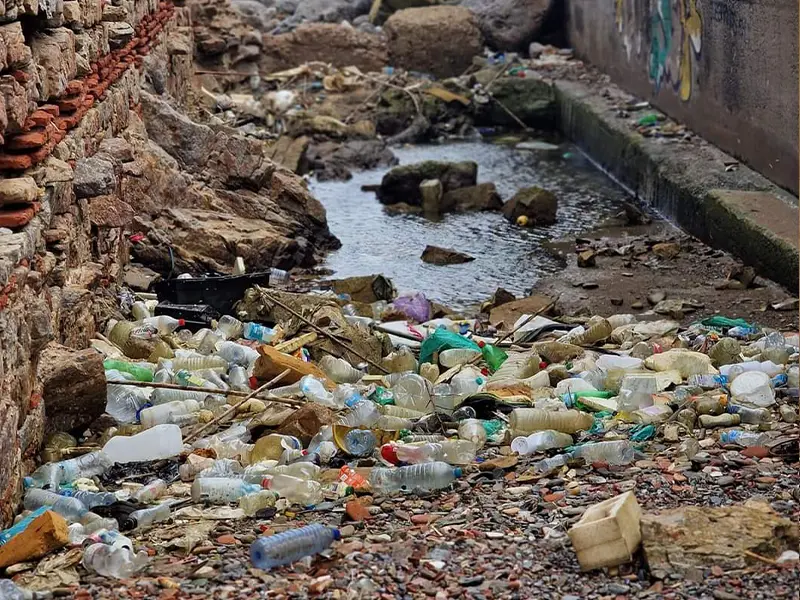 Recogida de Ceuta sin Pl&aacute;stico en Santa Catalina