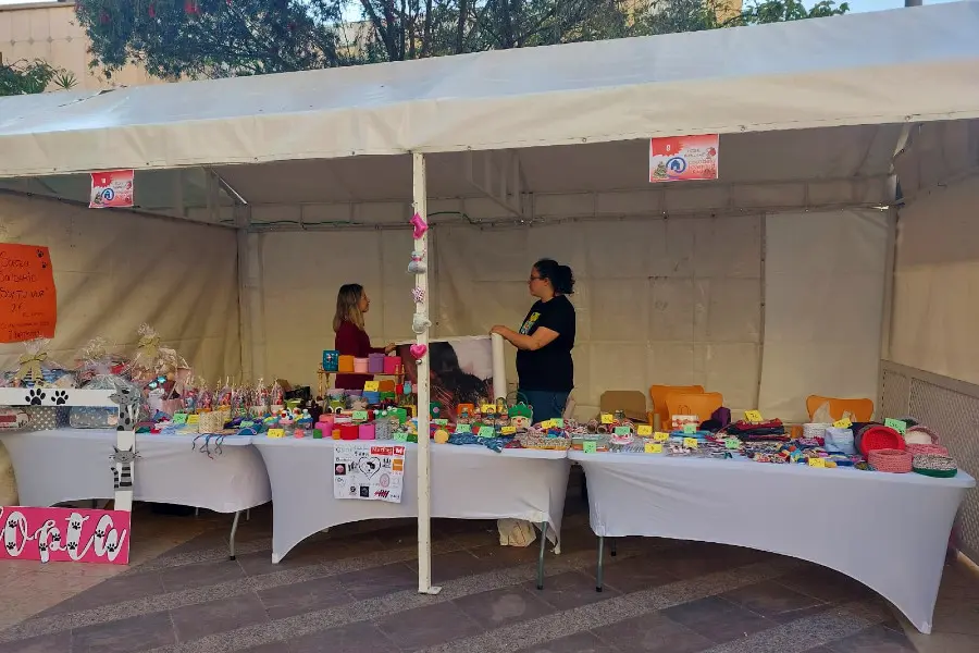mercadillo juvenil 10