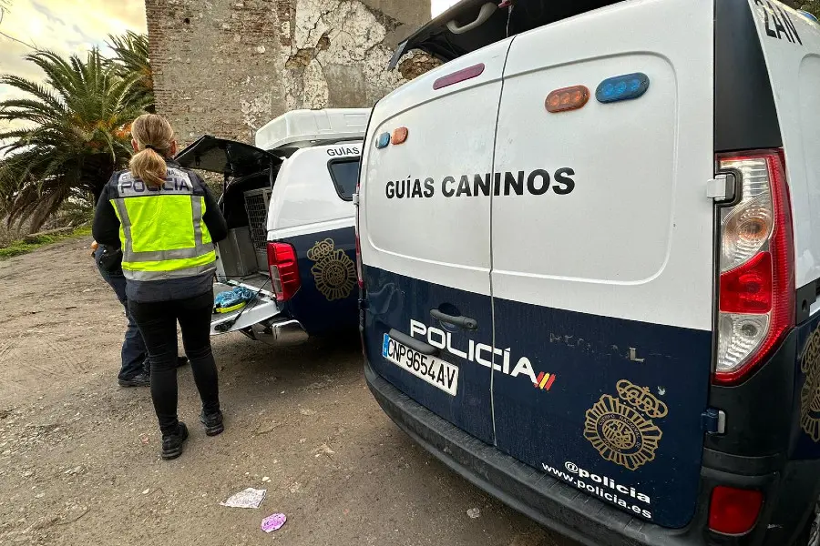 busqueda 3