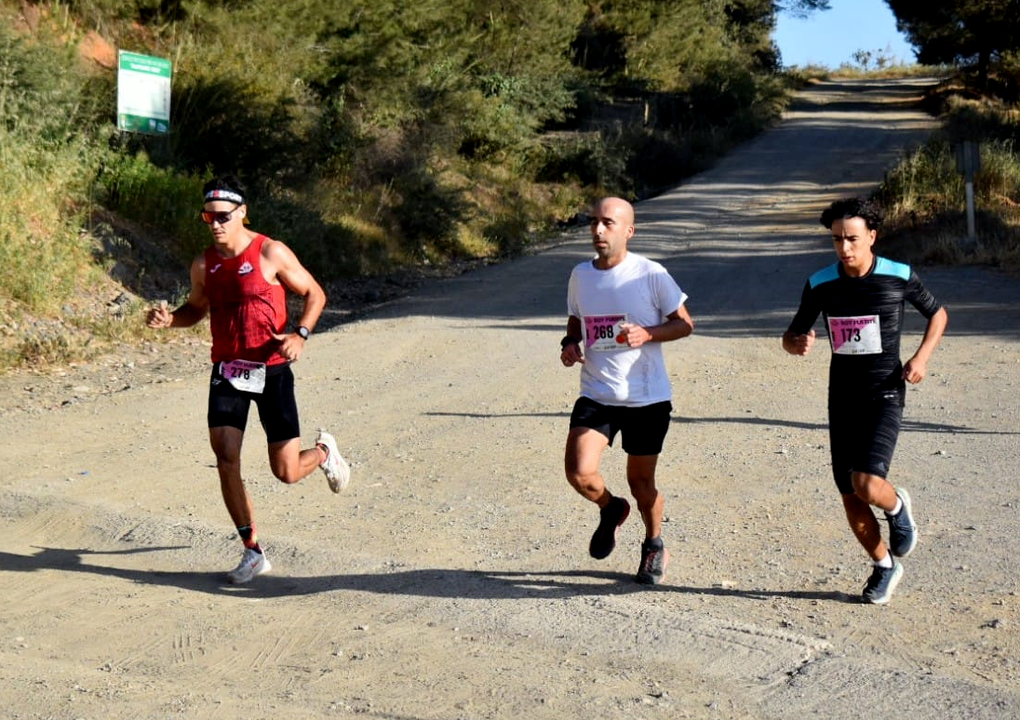Los Fuertes  (26)