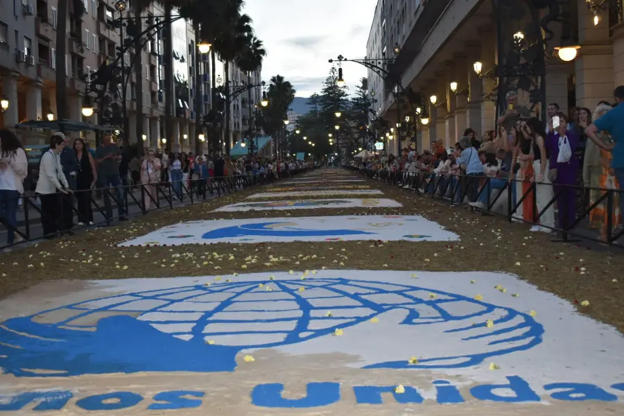 Adornos florales en la Avenida Alcalde S&aacute;nchez Prados/ Rafa B&aacute;ez