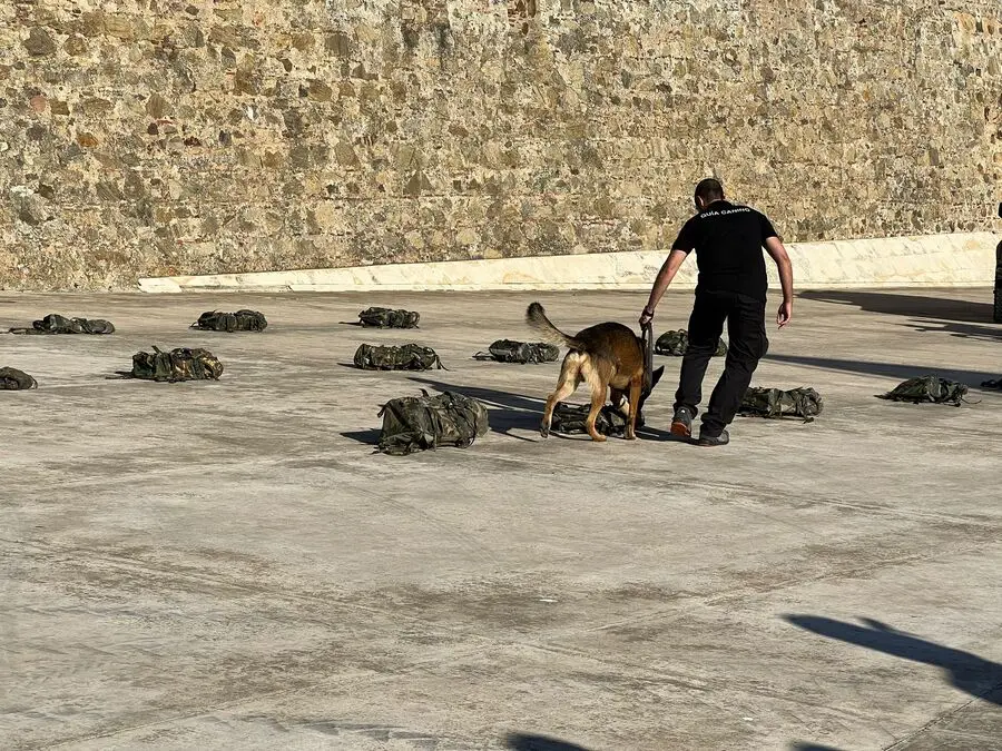 Exhibici&oacute;n de la Unidad Canina en las Murallas Reales / Daniel Hern&aacute;ndez