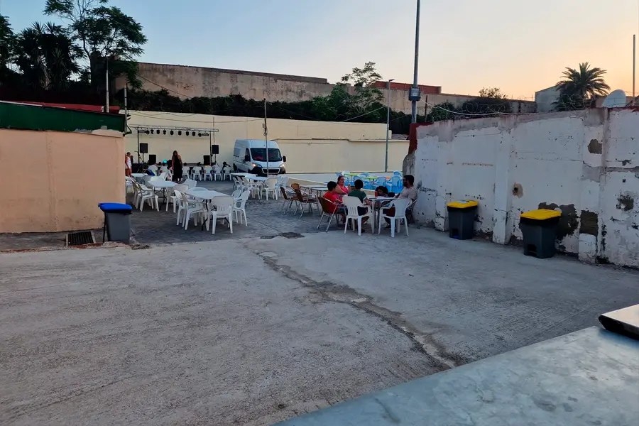 VERBENA DE SAN AMARO 2