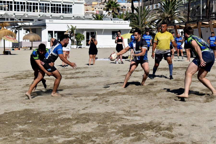 rugby 24