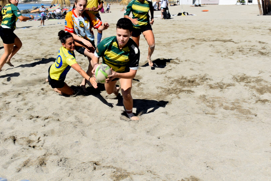 rugby 22