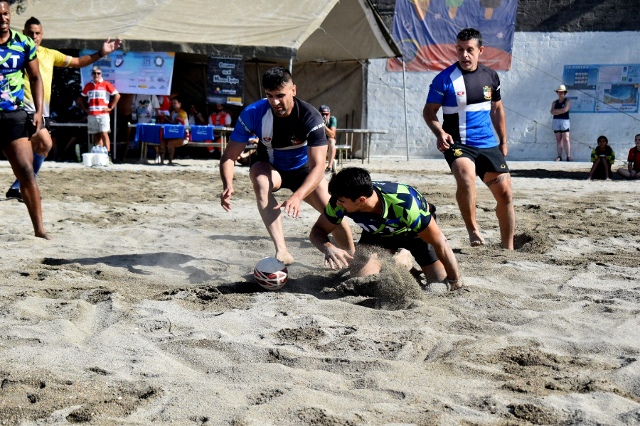 rugby 14