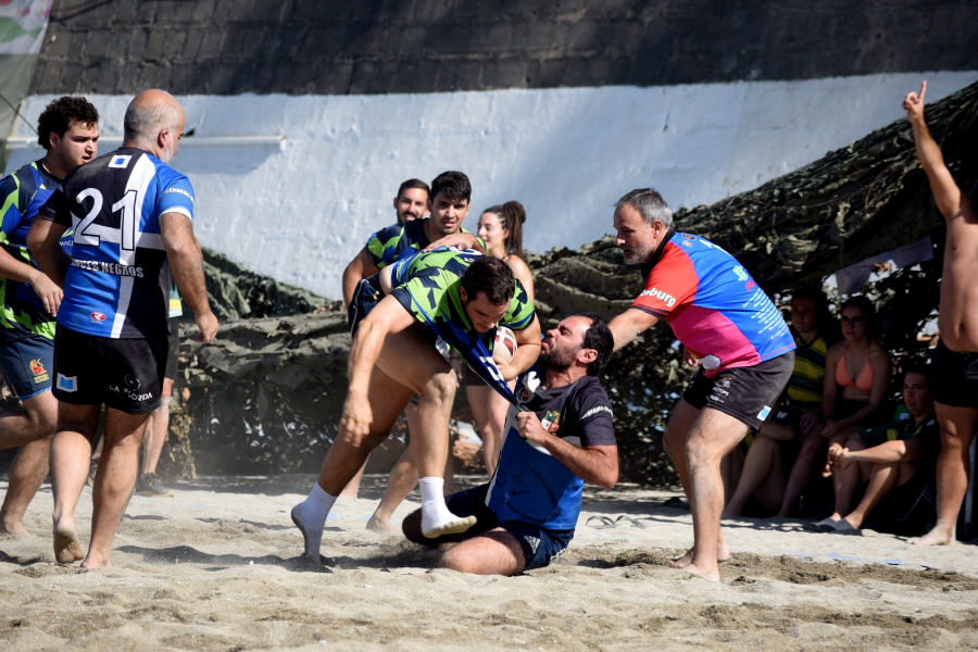 rugby 31