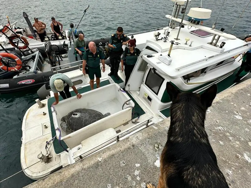 Miembros del GEAS custodiaron a Irlanda, ya en el barco, en su regreso al mar/ Mohamed Ettoulieb