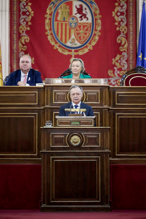 El presidente Vivas interviene en el Senado (9)