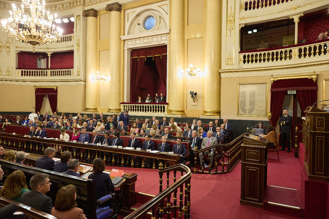 El presidente Vivas interviene en el Senado (4)