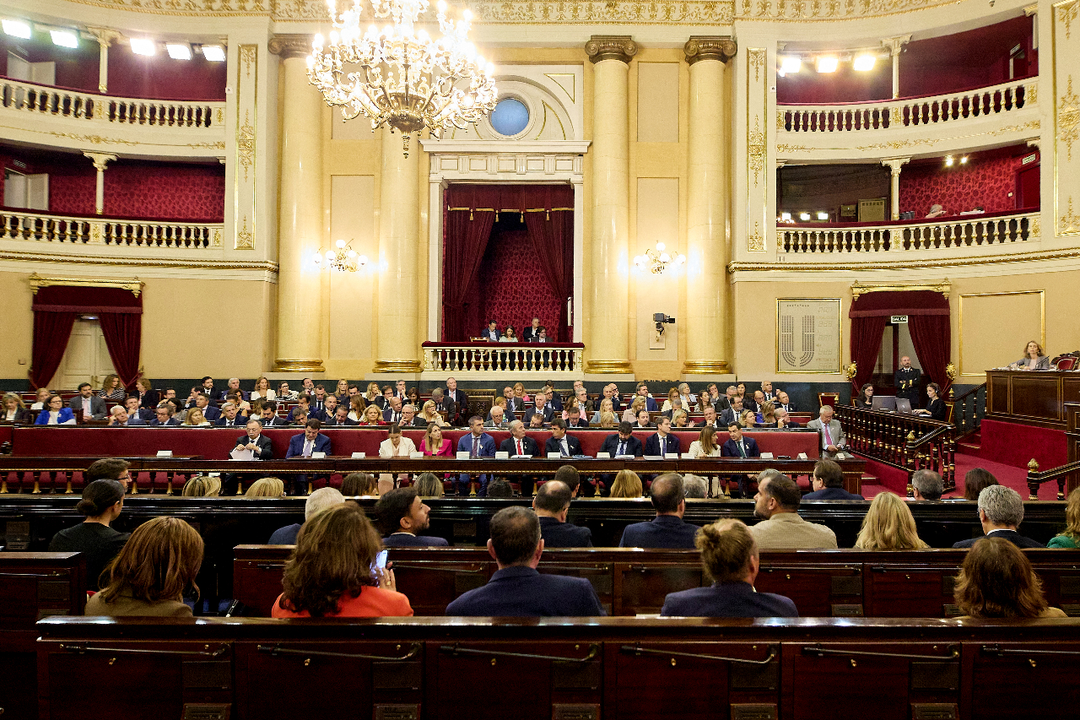 El presidente Vivas interviene en el Senado (3)