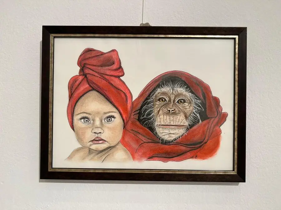 Inauguraci&oacute;n de la exposici&oacute;n de Meraki, de Sandra &Aacute;vila / Daniel Hern&aacute;ndez