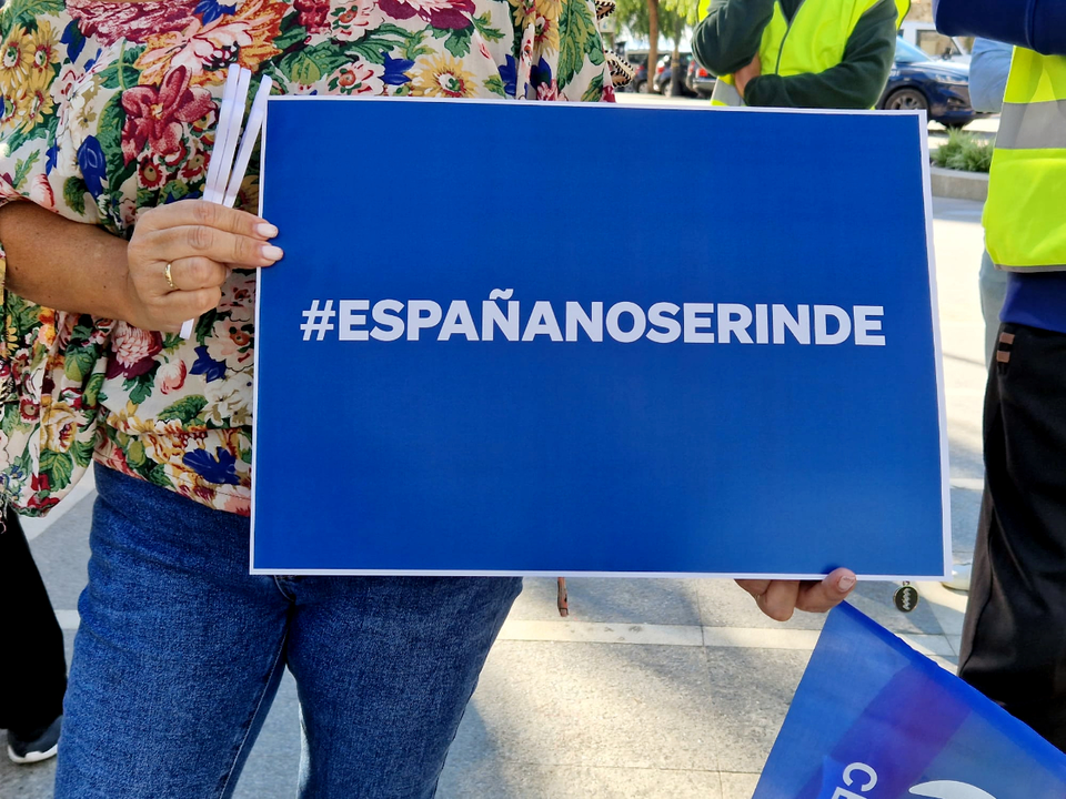 Manifestaci&oacute;n del Partido Popular en contra de la Amnist&iacute;a y en favor de la igualdad entre todos los espa&ntilde;oles(2)