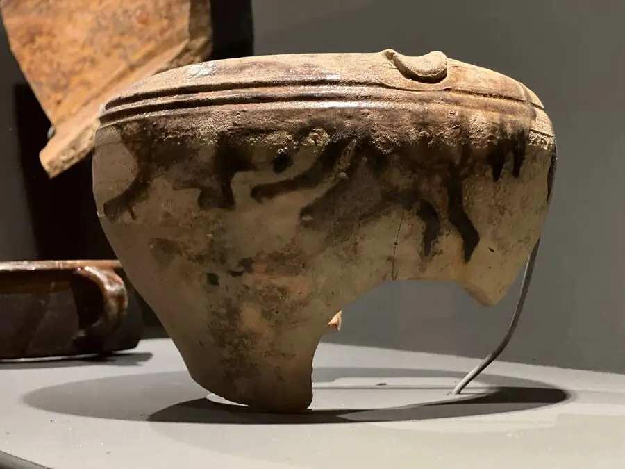 Exposici&oacute;n Arqueol&oacute;gica en el Museo del Revell&iacute;n / Daniel Hern&aacute;ndez