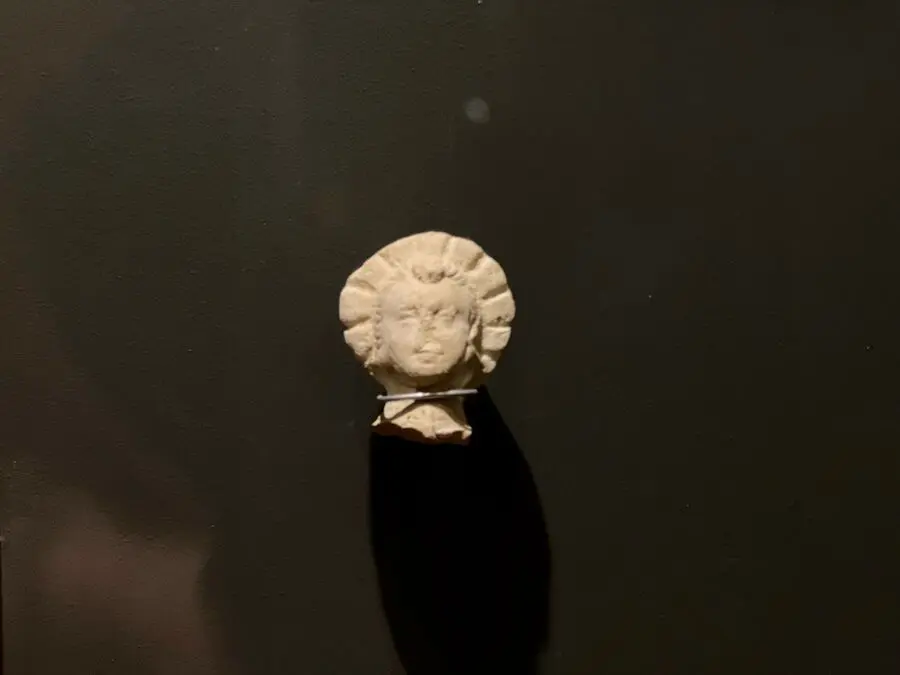 Exposici&oacute;n Arqueol&oacute;gica en el Museo del Revell&iacute;n / Daniel Hern&aacute;ndez