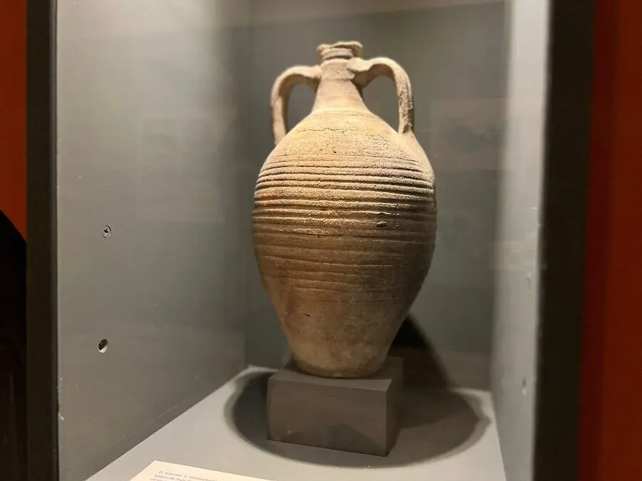 Exposici&oacute;n Arqueol&oacute;gica en el Museo del Revell&iacute;n / Daniel Hern&aacute;ndez