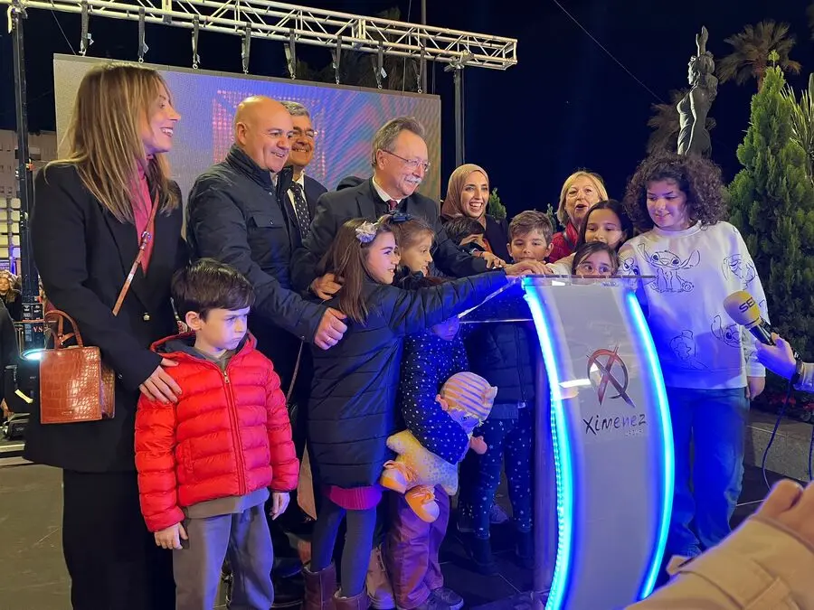 Inauguraci&oacute;n del alumbrado ornamental de Navidad / Daniel Hern&aacute;ndez