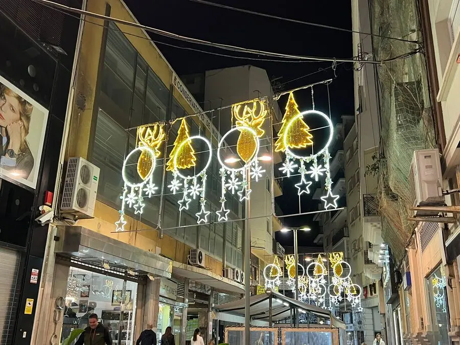 Inauguraci&oacute;n del alumbrado ornamental de Navidad / Daniel Hern&aacute;ndez