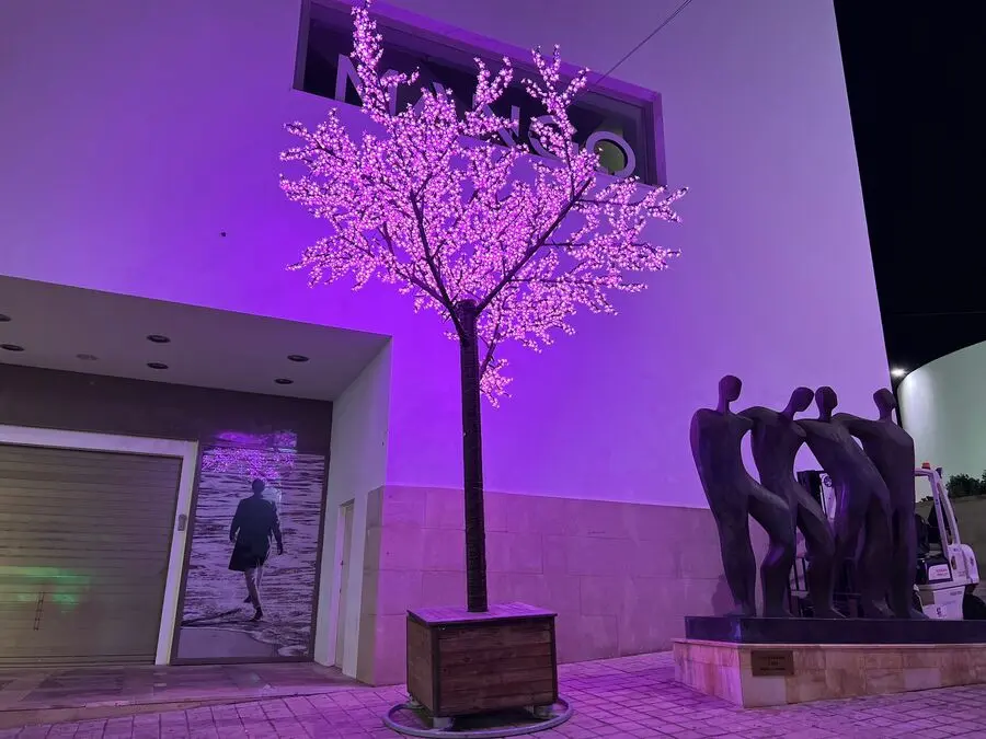 Inauguraci&oacute;n del alumbrado ornamental de Navidad / Daniel Hern&aacute;ndez