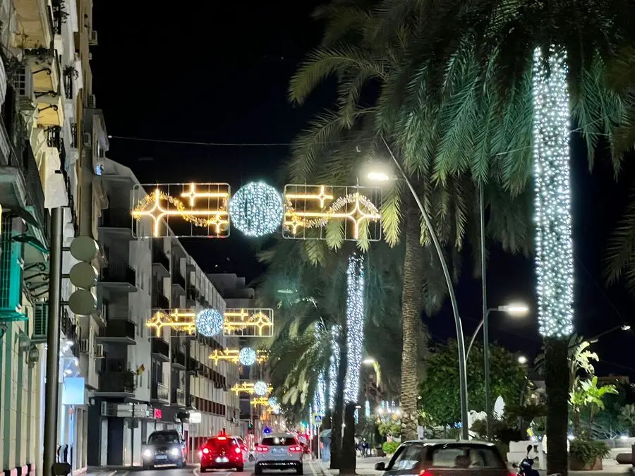 Inauguraci&oacute;n del alumbrado ornamental de Navidad / Daniel Hern&aacute;ndez