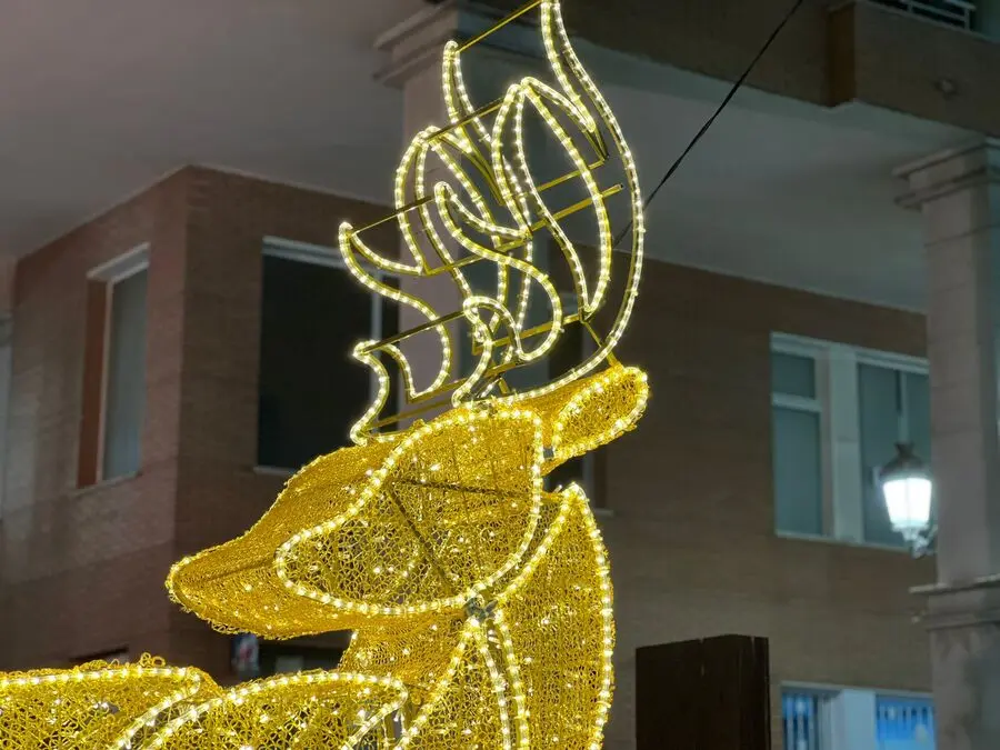 Inauguraci&oacute;n del alumbrado ornamental de Navidad / Daniel Hern&aacute;ndez
