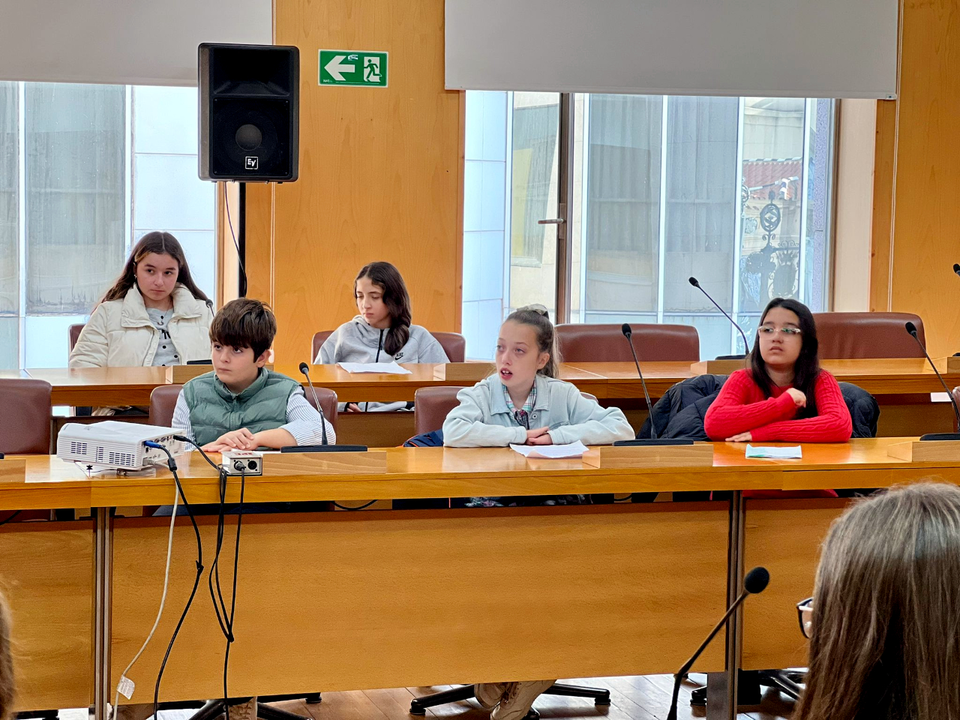 Pleno Escolar  (10)