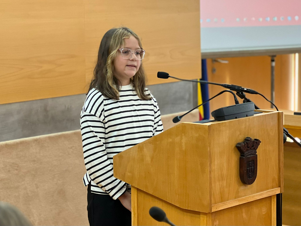Pleno Escolar  (3)