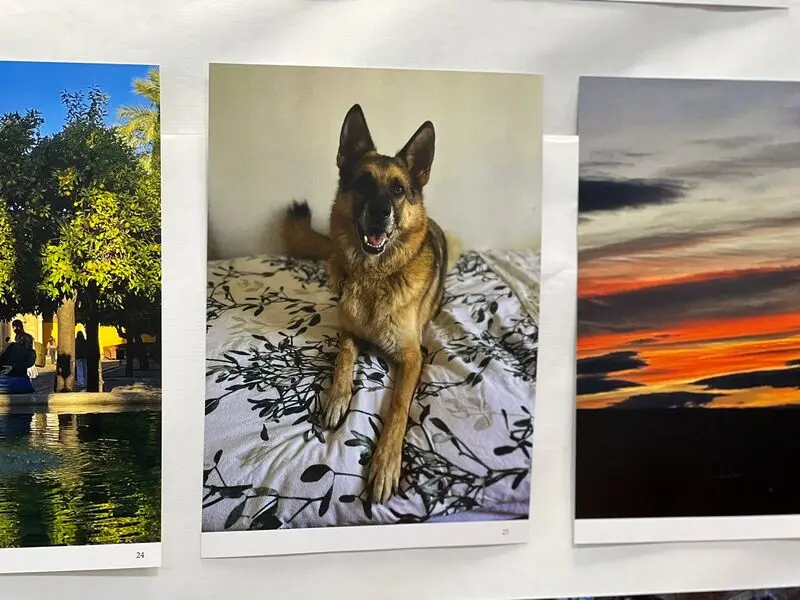 7