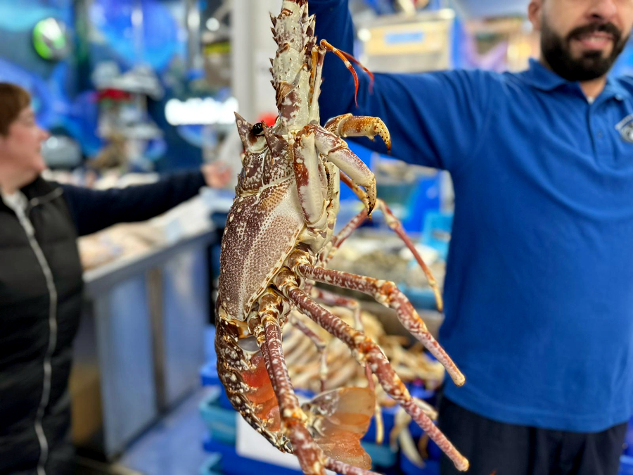 Mercado 19