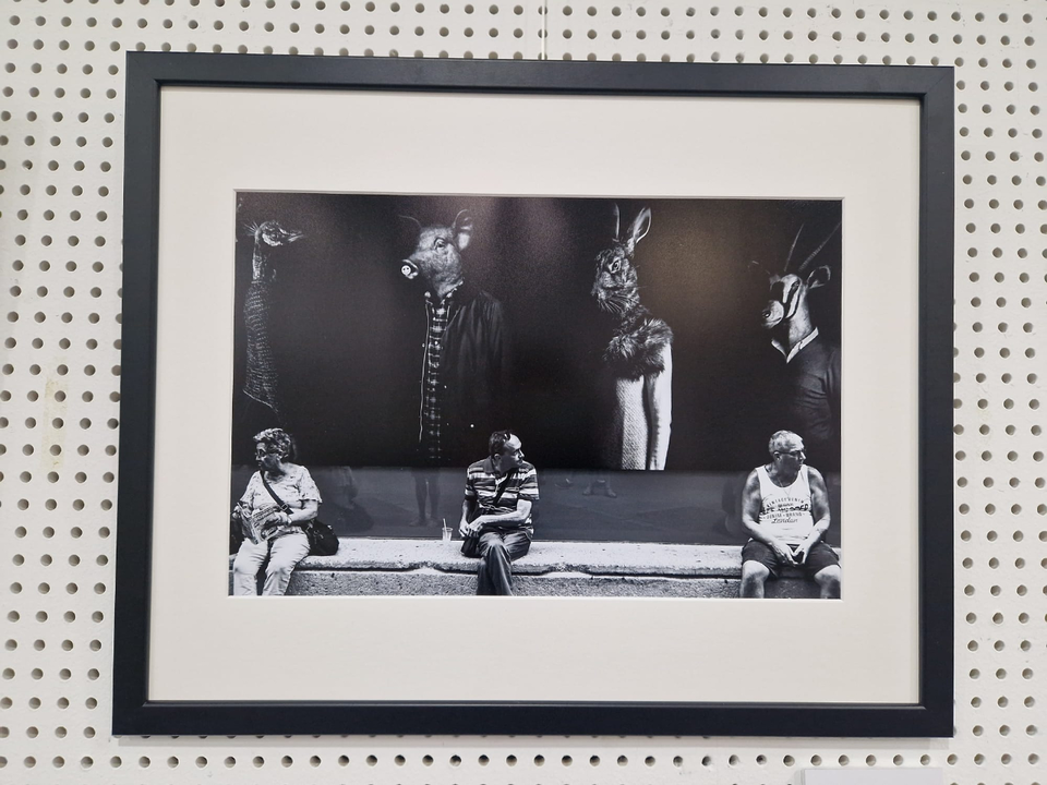 Exposici&oacute;n de 'Miradas' en la Biblioteca P&uacute;blica (13)