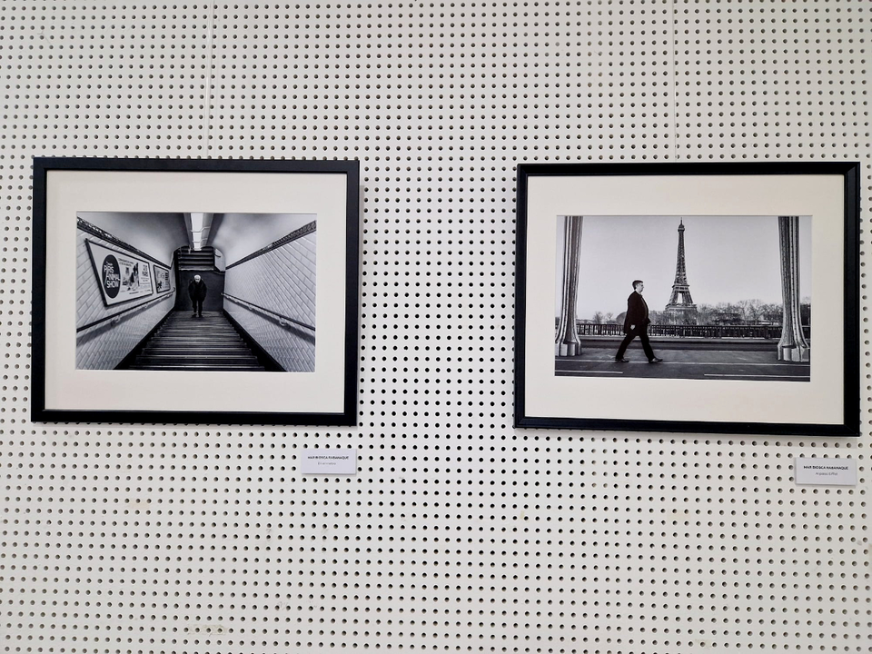 Exposici&oacute;n de 'Miradas' en la Biblioteca P&uacute;blica (9)
