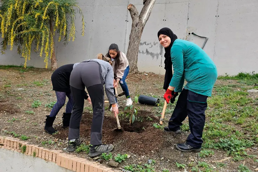 Un &aacute;rbol, un ni&ntilde;o / FPAV