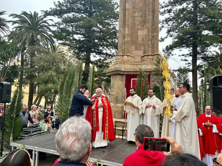 Misa del Domingo de Ramos y Bendici&oacute;n de Palmas