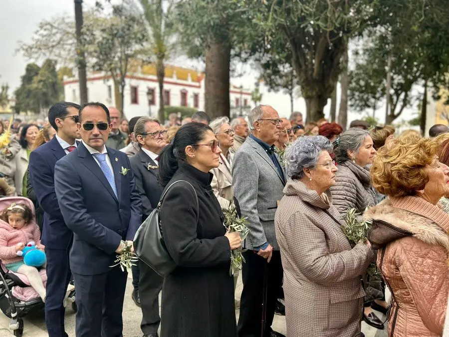 Misa del Domingo de Ramos y Bendici&oacute;n de Palmas