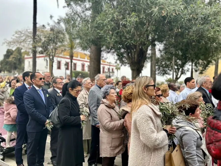 Misa del Domingo de Ramos y Bendici&oacute;n de Palmas