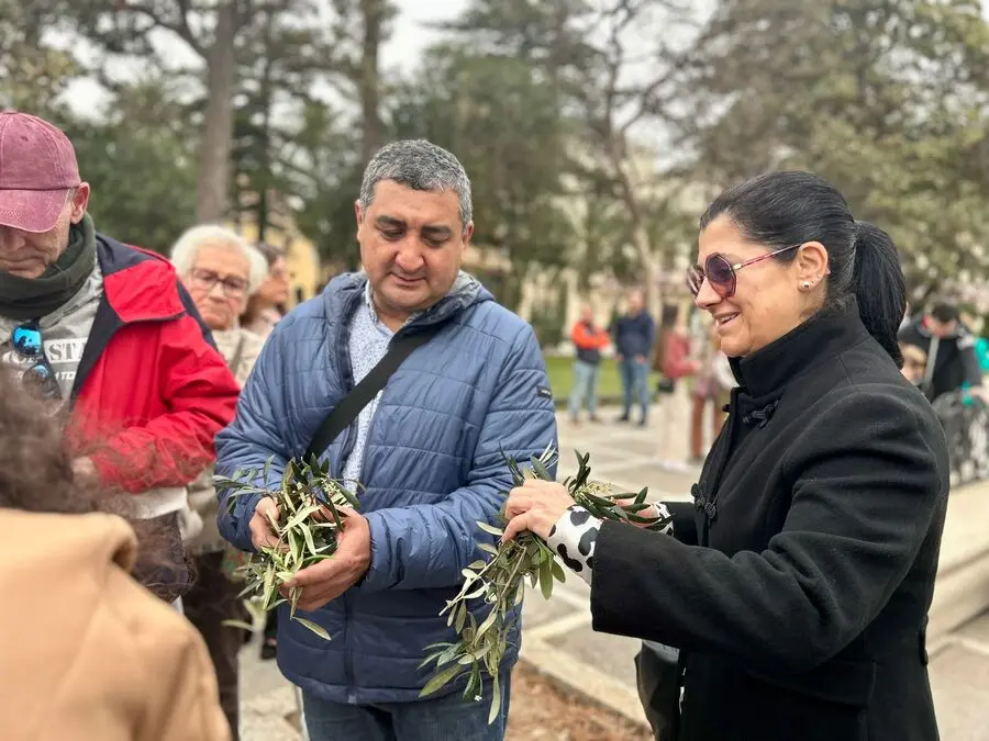 Misa del Domingo de Ramos y Bendici&oacute;n de Palmas