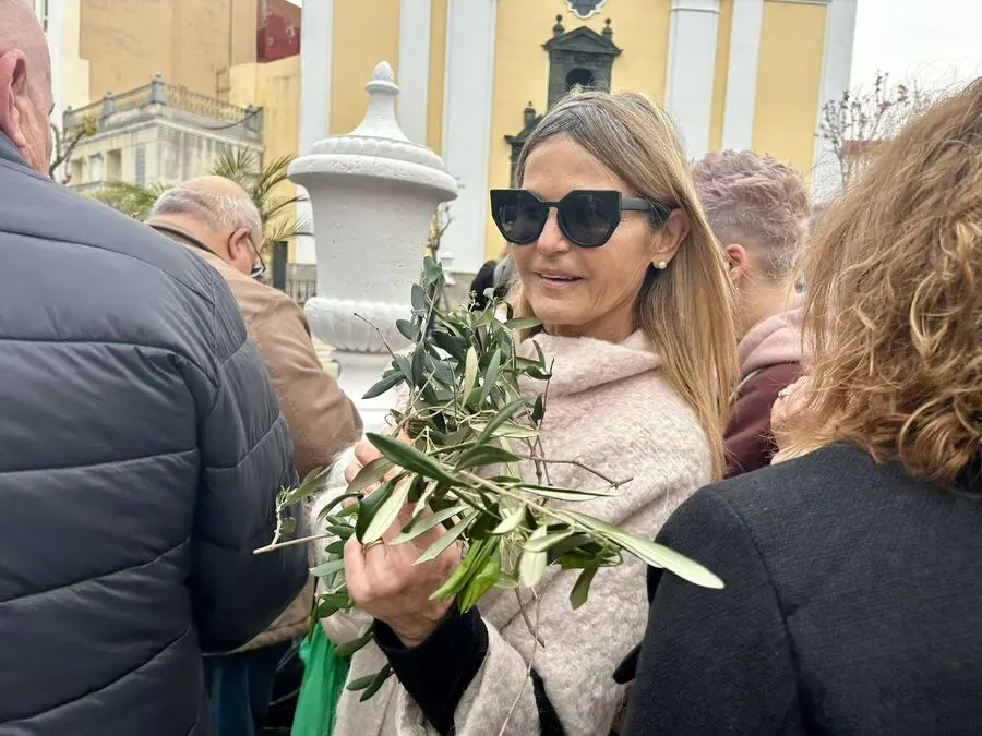 Misa del Domingo de Ramos y Bendici&oacute;n de Palmas