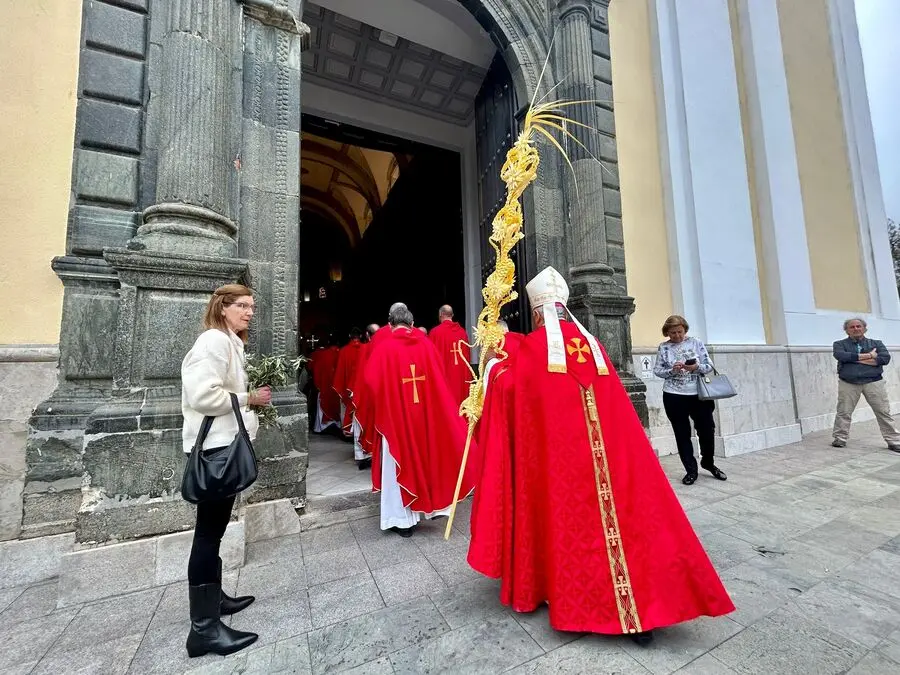 Misa del Domingo de Ramos y Bendici&oacute;n de Palmas