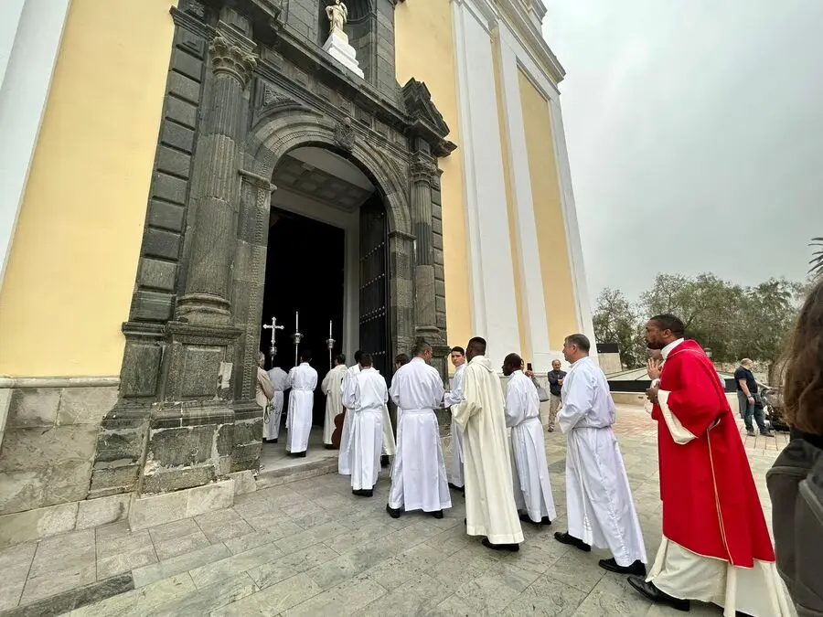 Misa del Domingo de Ramos y Bendici&oacute;n de Palmas