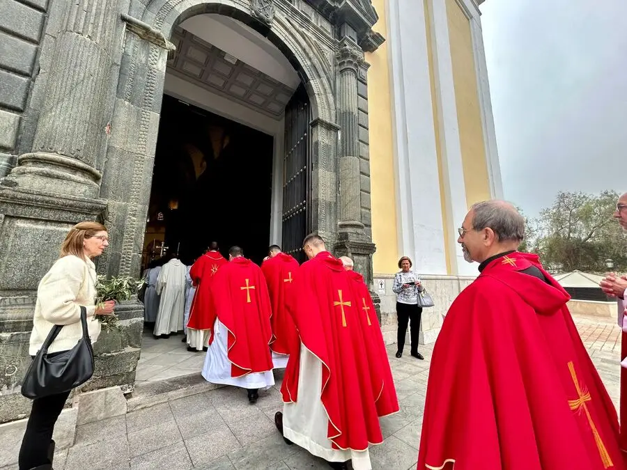 Misa del Domingo de Ramos y Bendici&oacute;n de Palmas