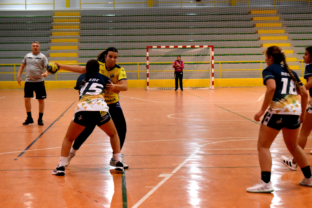 Balonmano Estudiantes Cadete femenino (10)