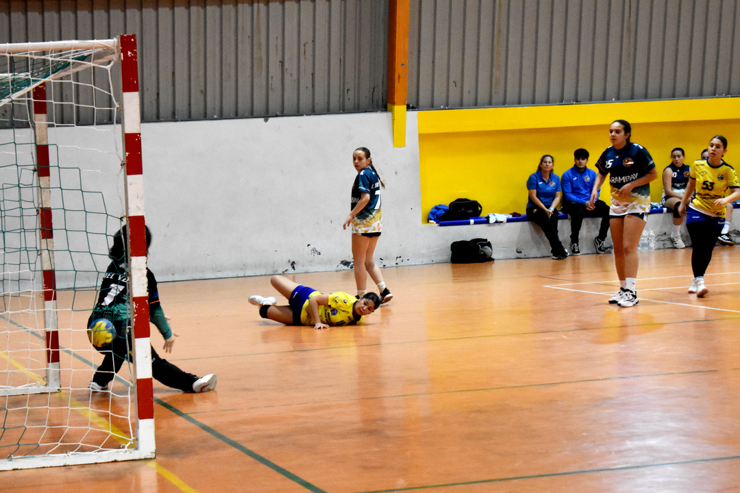 Balonmano Estudiantes Cadete femenino (8)
