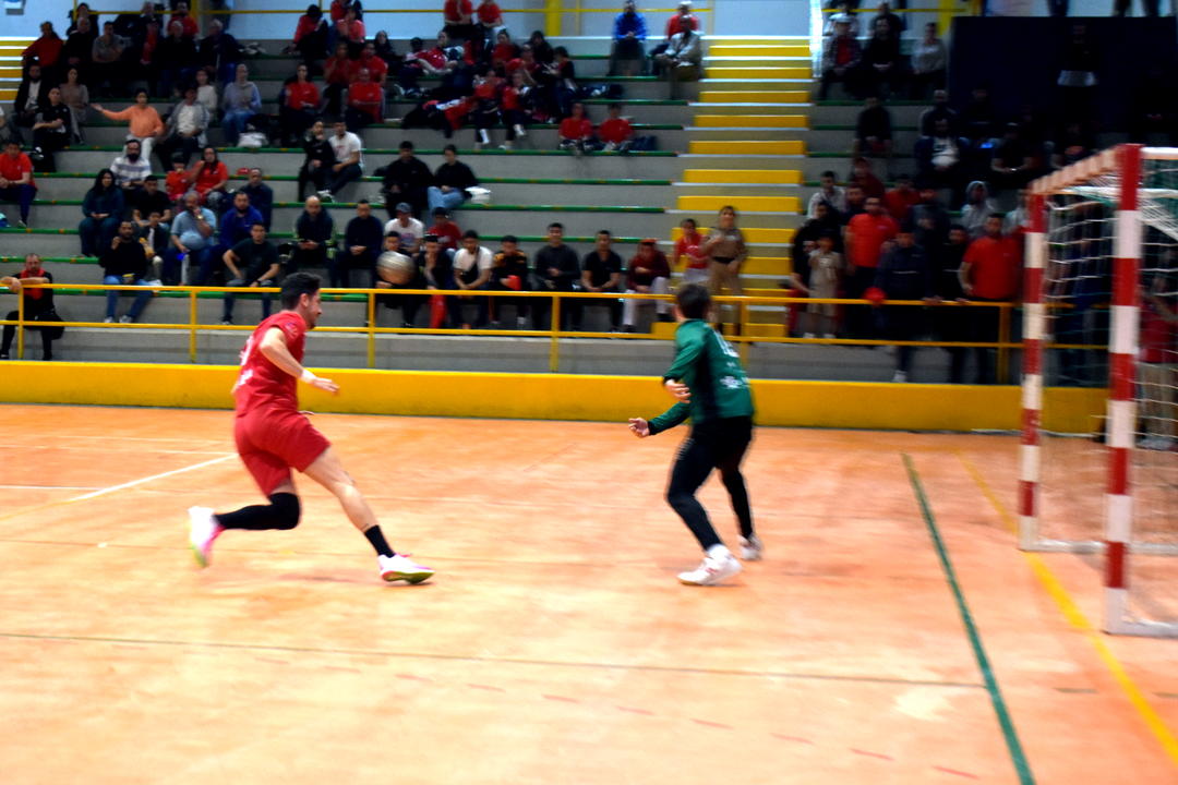 Club Balonmano Ram&oacute;n y Cajal - BM C&uacute;llar Vega de Granada 231