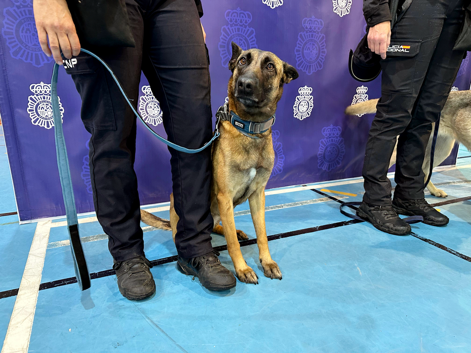 Exhibici&oacute;n canina en el Torneo de Baloncesto por el Bicentenario de la Polic&iacute;a Nacional  (1)