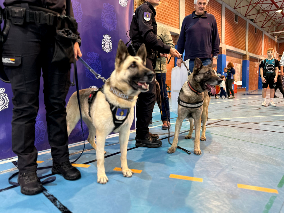 Exhibici&oacute;n canina en el Torneo de Baloncesto por el Bicentenario de la Polic&iacute;a Nacional 