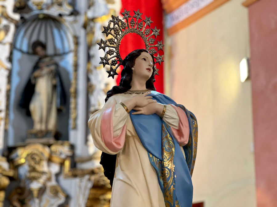 Romer&iacute;a de La Inmaculada(24)